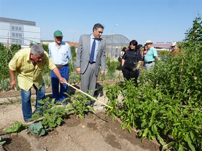 Ángel Mariscal buscará más superficies urbanas para ampliar los Huertos Sociales de los que ya disfrutan numerosos conquenses