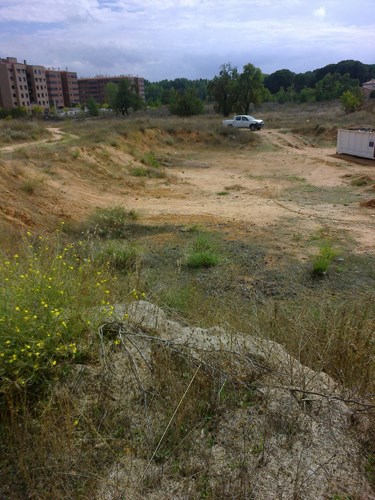 Limpiados los dos vertederos ilegales del barrio de Cañadillas