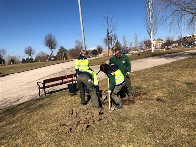 El Ayuntamiento de Cuenca inicia la licitación del nuevo contrato para el mantenimiento de parques y jardines   