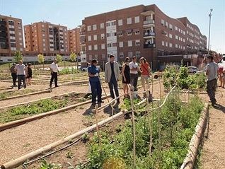 Abierta la convocatoria para solicitar una parcela de los huertos sociales