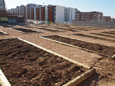 El Ayuntamiento envía al Boletín Oficial el reglamento de los Huertos de Ocio de Cuenca