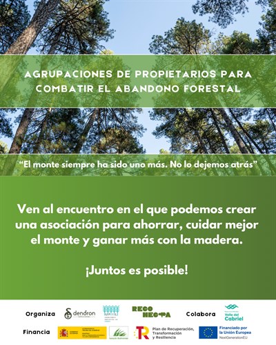 UFIL Cuenca y Dendron organizan reuniones informativas en varios municipios para impulsar la gestión activa de los montes