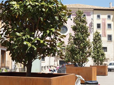 El Ayuntamiento celebra el Día del Árbol regalando plantas en el Vivero Participativo