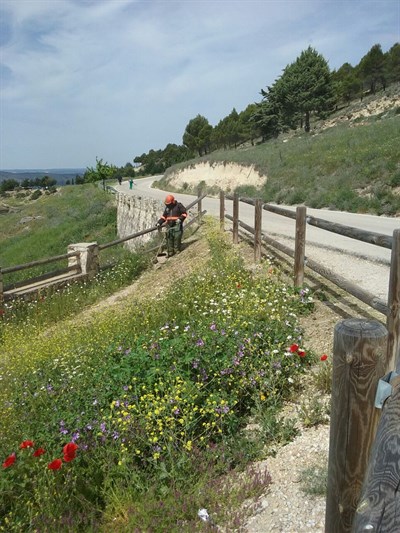 El Ayuntamiento desbroza los senderos y rutas de la Hoz del Huécar