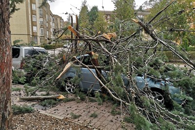 Decenas de incidencias a lo largo de todo el día con motivo del temporal de viento