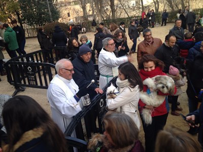 San Antón reparte un año más  23.000 panecillos 