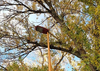 El Ayuntamiento renovará 2.445 luminarias del alumbrado público de las pedanías y de barrios de la capital