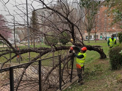 Los Bomberos continúan atendiendo incidencias relacionadas con el temporal