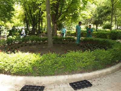 Comienza la plantación de más de 10.000 flores y arbustos en jardines, parques, plazas y rotondas