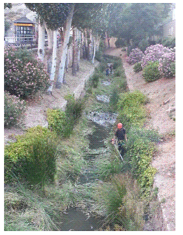 El Ayuntamiento de Cuenca realiza trabajos de mantenimiento en el tramo del río Huécar a su paso por la capital