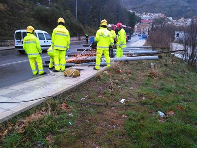Policía Local y Bomberos realizan numerosas intervenciones por las incidencias que las fuertes rachas de viento y la lluvia han ocasionado en la capital 