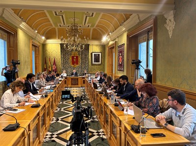 El Pleno acuerda que el 1 de junio, festividad de la Virgen de la Luz, no se habilite para la apertura de establecimientos