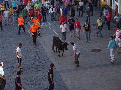 Balance positivo de las fiestas mateas con la necesidad de reflexionar en algunos aspectos