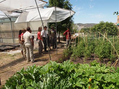El alcalde de Cuenca visita el Vivero Participativo de Villa Román