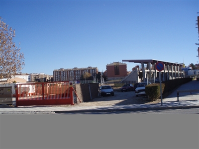 El Ayuntamiento y Cruz Roja continúan el sábado y el domingo con el reparto de pinos navideños