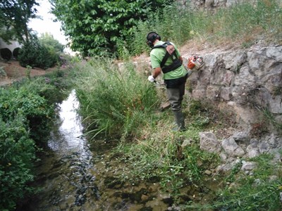 El Ayuntamiento realiza desbroces en el cauce del río Huécar desde el Puente del Portland al de la Trinidad