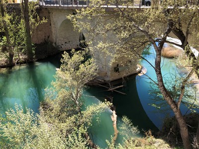 El Ayuntamiento retirará este miércoles los chopos caídos bajo el Puente de San Antón