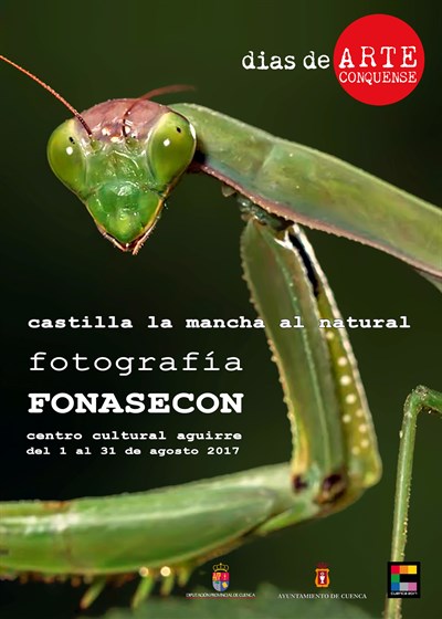 El Centro Cultural Aguirre acogerá durante agosto la exposición fotográfica ‘Castilla-La Mancha al natural’