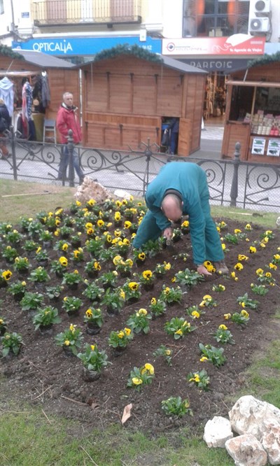 Las Plazas de la Hispanidad y Cánovas y la calle Carretería lucen 1.000 nuevas plantas que las embellecerán hasta la primavera