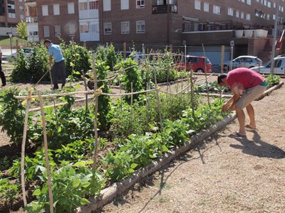 Los interesados en los huertos sociales tienen 15 días para presentar sus solicitudes