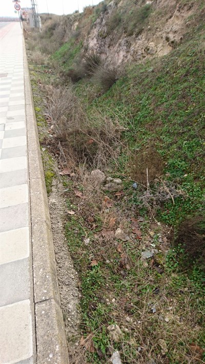 El Ayuntamiento de Cuenca continúa con las acciones especiales de limpieza de la capital