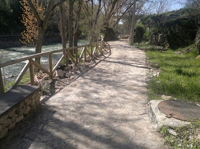 Aguas de Cuenca repara los daños causados por las raíces en el colector del Paseo del Júcar