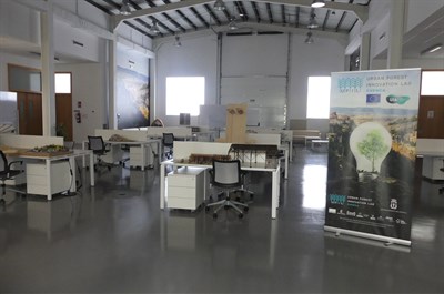 El proyecto UFIL Cuenca se suma a la conmemoración del Día de los Bosques