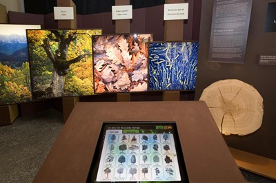 Inaugurada la exposición "El Bosque. Mucho más que madera" de la Fundación de CaixaBank