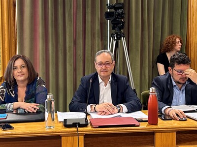 El Pleno aprueba la declaración de especial interés o utilidad municipal a la empresa Sumitomo