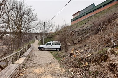 Recogida de árboles caídos, chapas y tejas, apuntalamientos y limpieza general, tareas tras el paso de la borrasca Celia