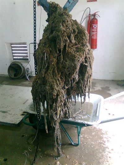 Arrojar toallitas húmedas al inodoro provoca graves y costosas averías en las redes de evacuación 